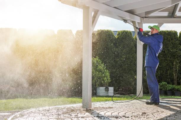 Best Pre-Holiday Cleaning  in Bourbonnais, IL
