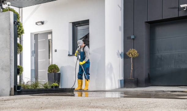 Best Graffiti Removal  in Bourbonnais, IL